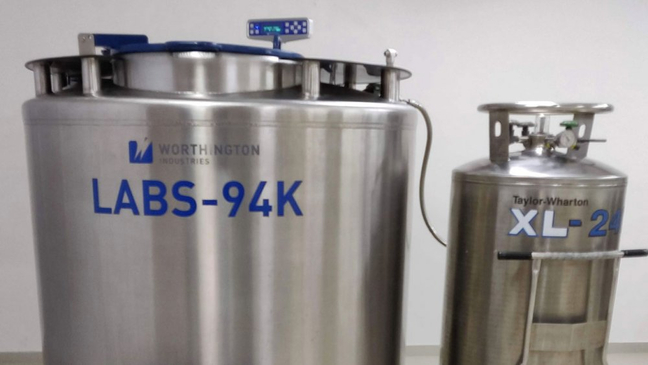 Slider image (2) ReeLabs Stem Cells in Mumbai, India